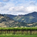 vineyard and mountain napa valley spring