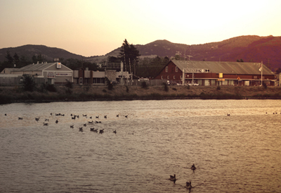 Napa River Photo