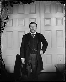 Theodore Roosevelt Collodion